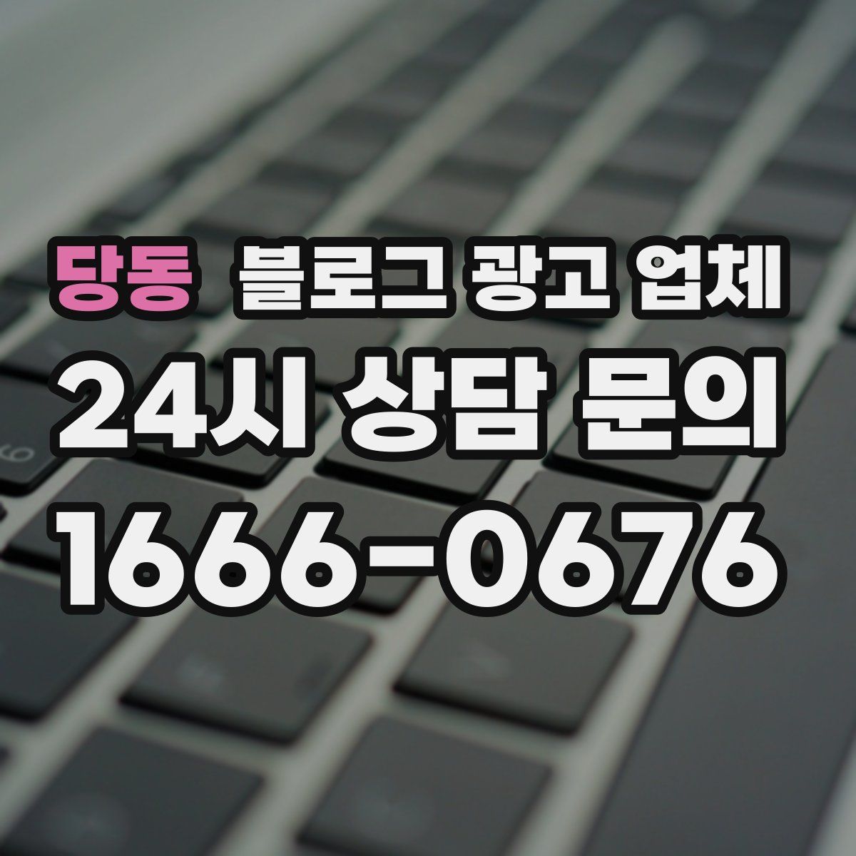 당동 블로그 광고 업체