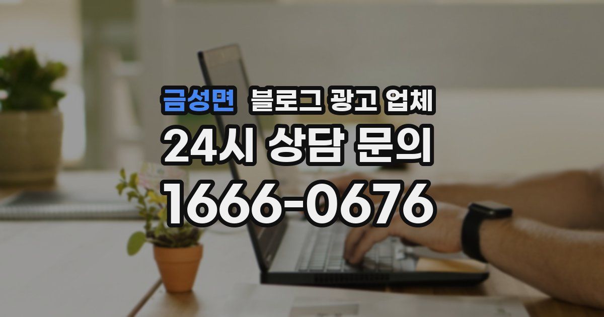 금성면 블로그 광고 업체