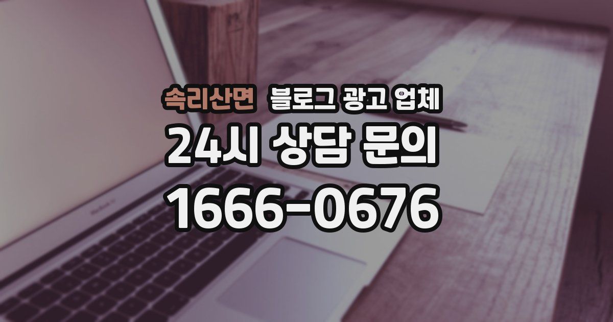 속리산면 블로그 광고 업체