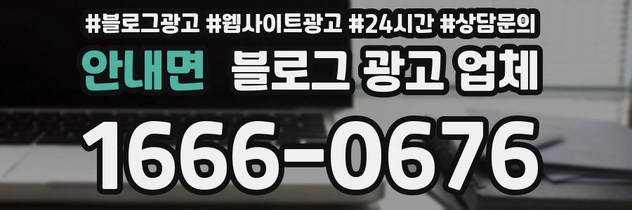 안내면 블로그 광고 업체