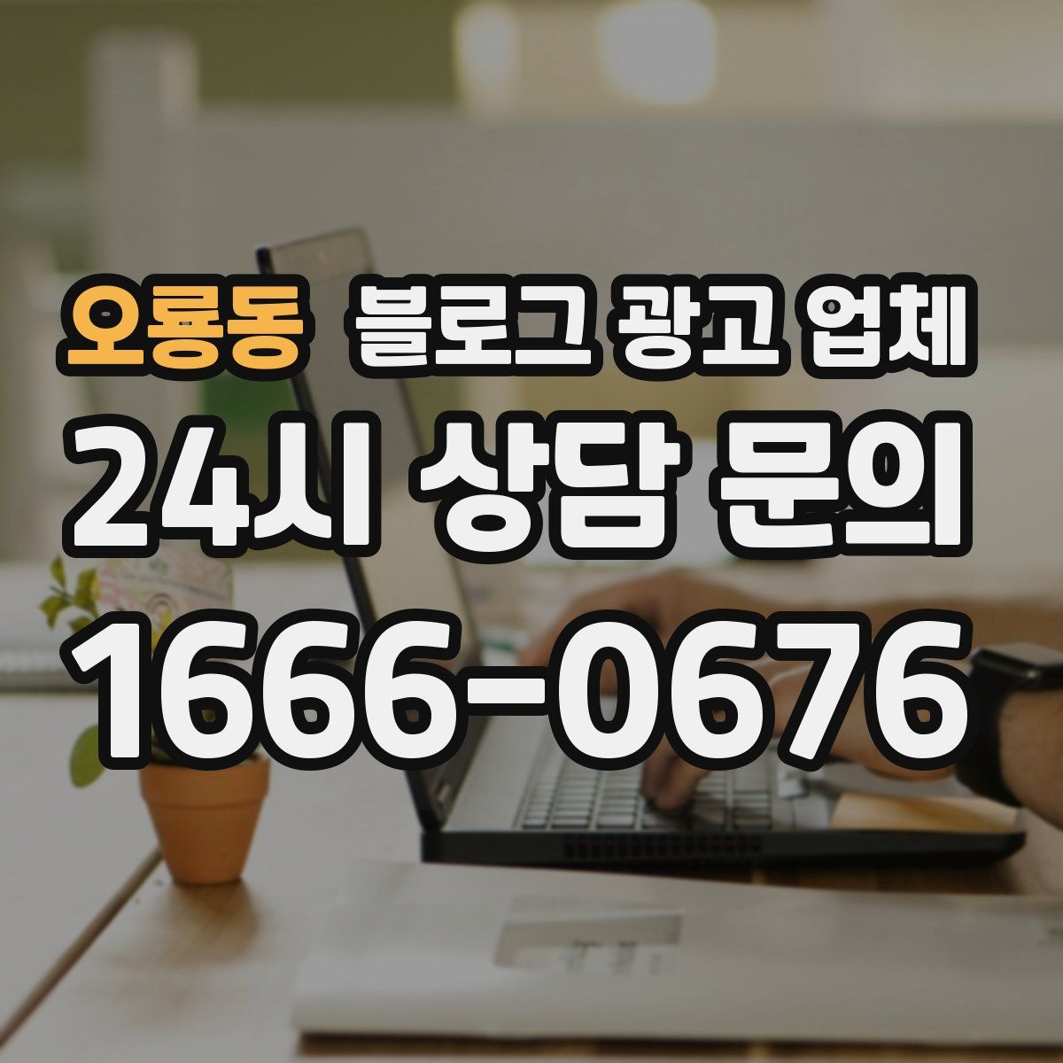 오룡동 블로그 광고 업체