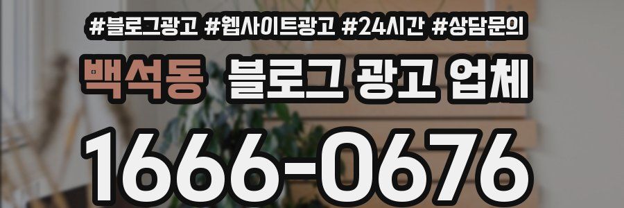 백석동 블로그 광고 업체