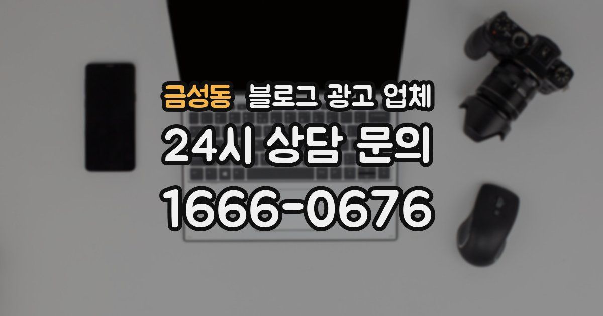 금성동 블로그 광고 업체