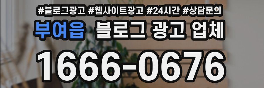 부여읍 블로그 광고 업체