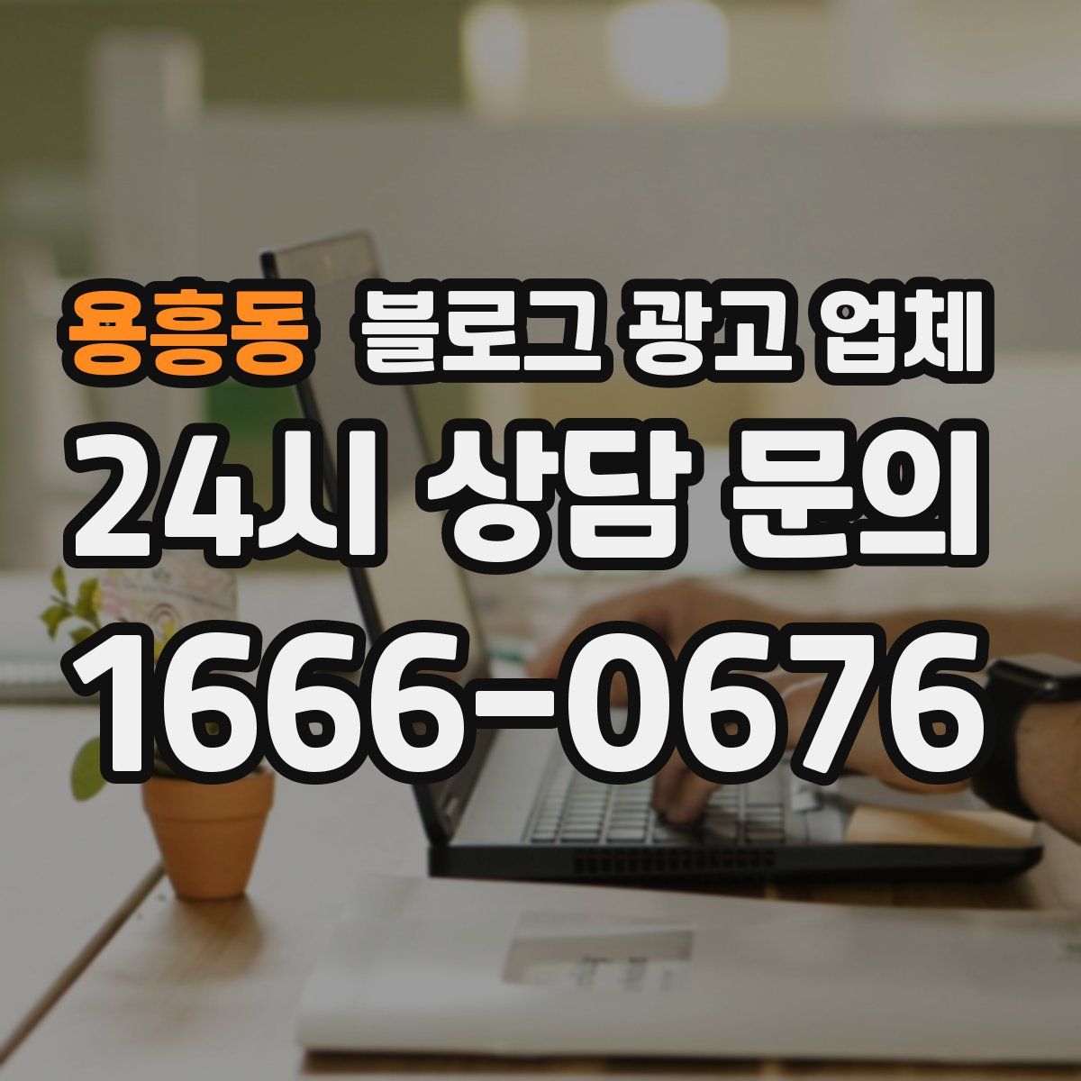용흥동 블로그 광고 업체