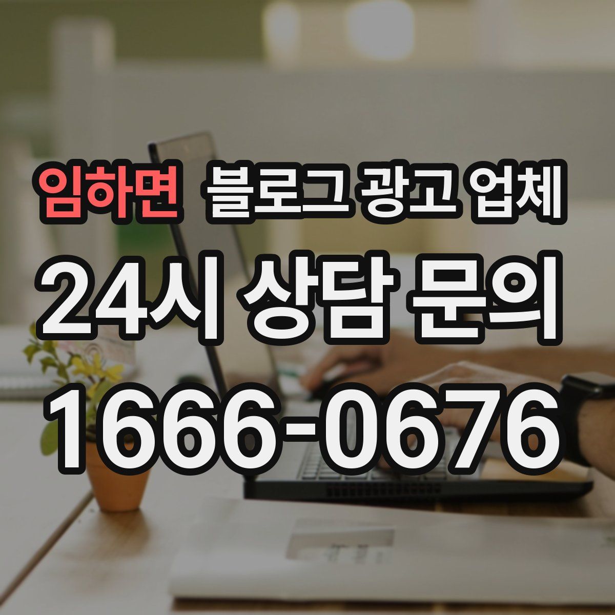 임하면 블로그 광고 업체