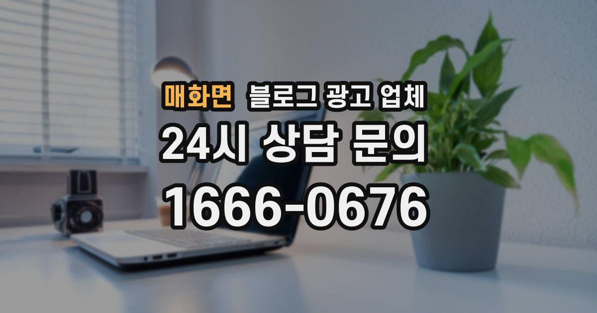 매화면 블로그 광고 업체