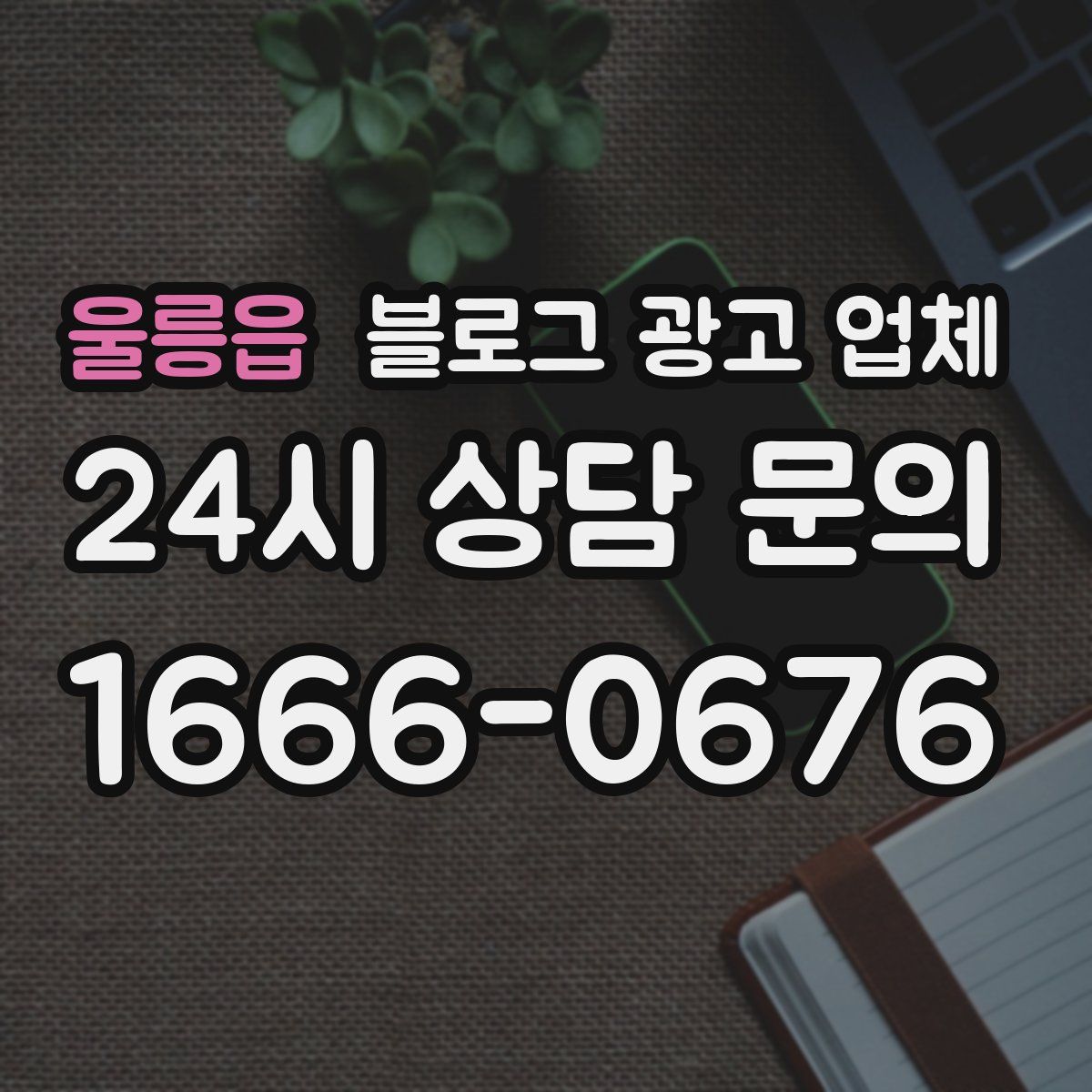 울릉읍 블로그 광고 업체