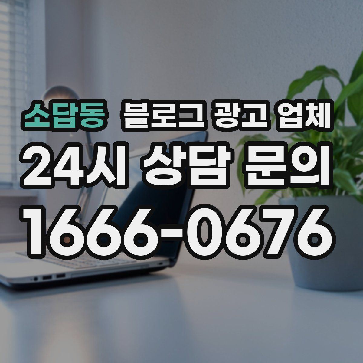소답동 블로그 광고 업체
