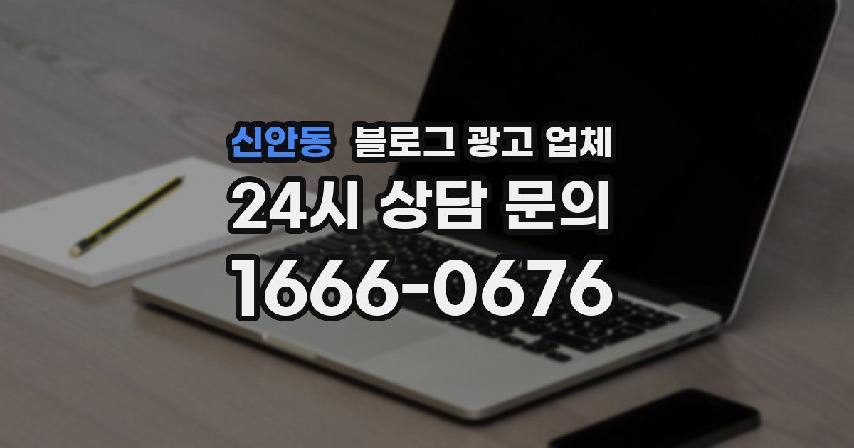 신안동 블로그 광고 업체