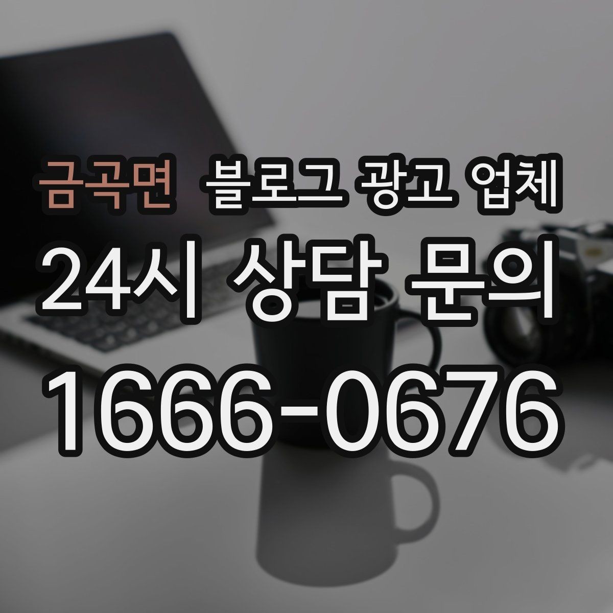 금곡면 블로그 광고 업체 비교 시 포트폴리오 보는 법