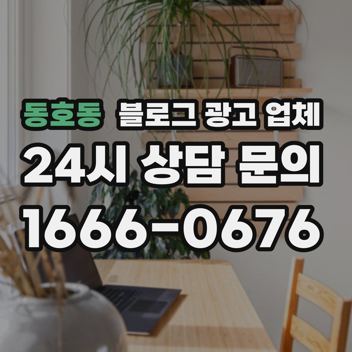 동호동 블로그 광고 업체