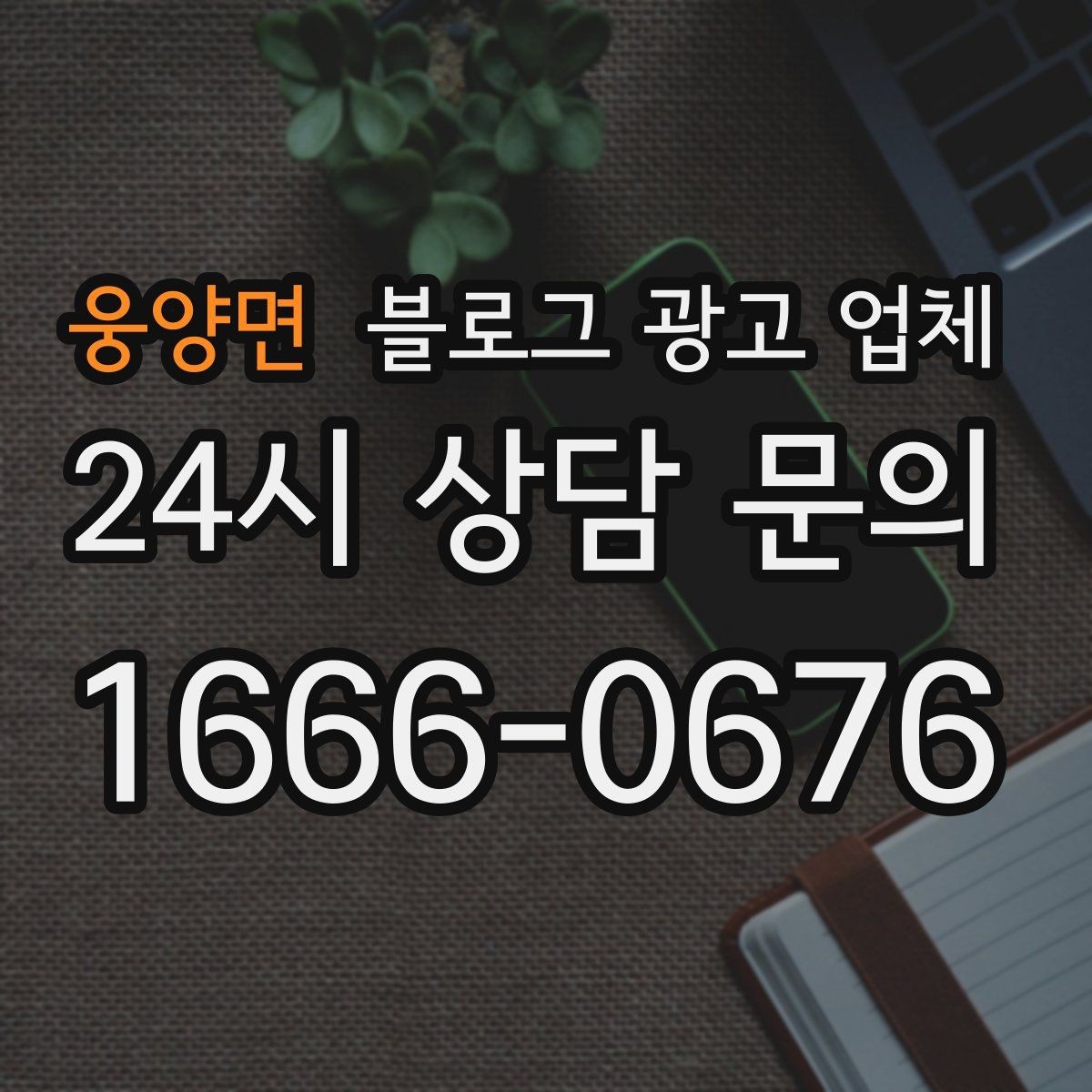 웅양면 블로그 광고 업체 작업 결과를 보는 현실적인 기준