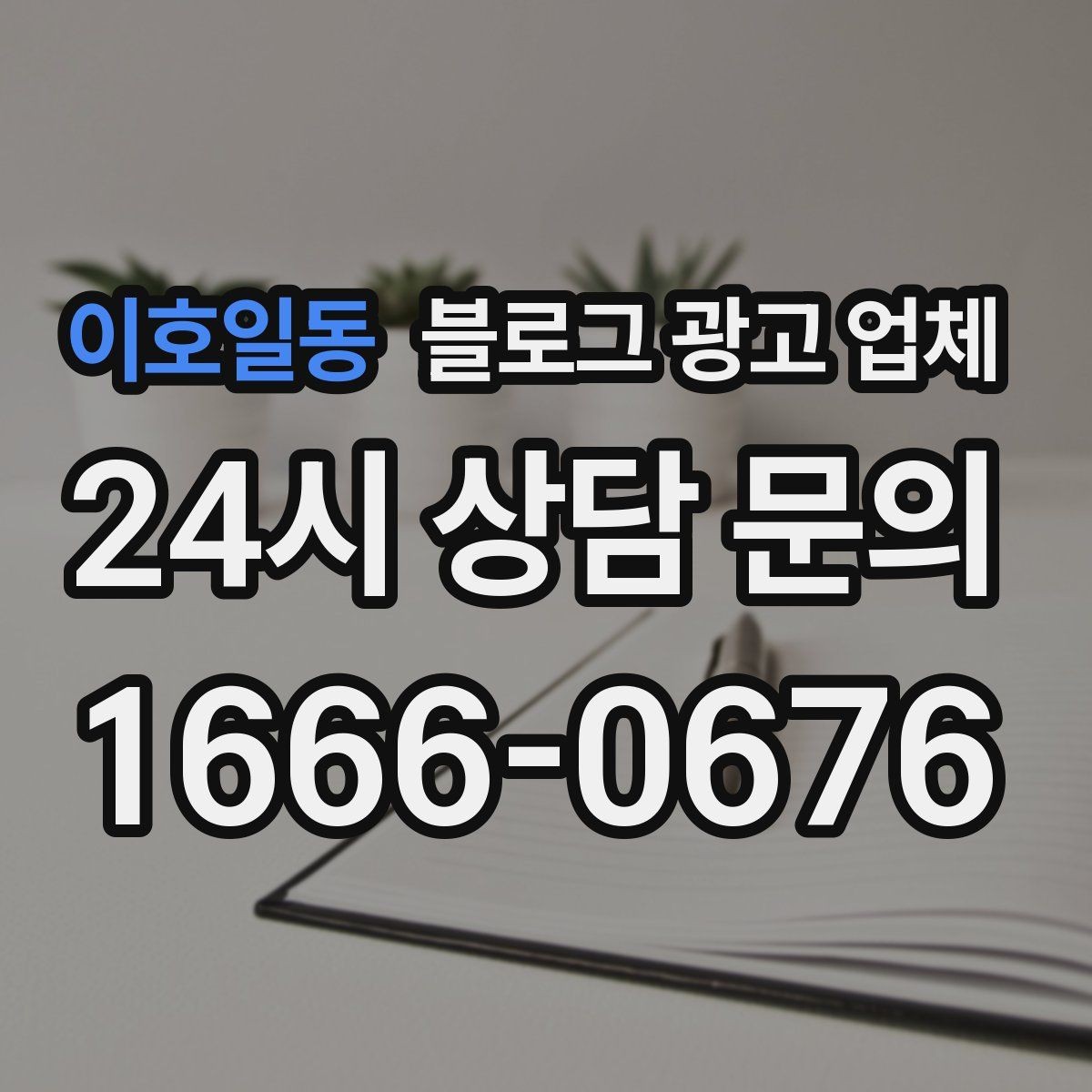 이호일동 블로그 광고 업체 비용은 무엇이 달라질까