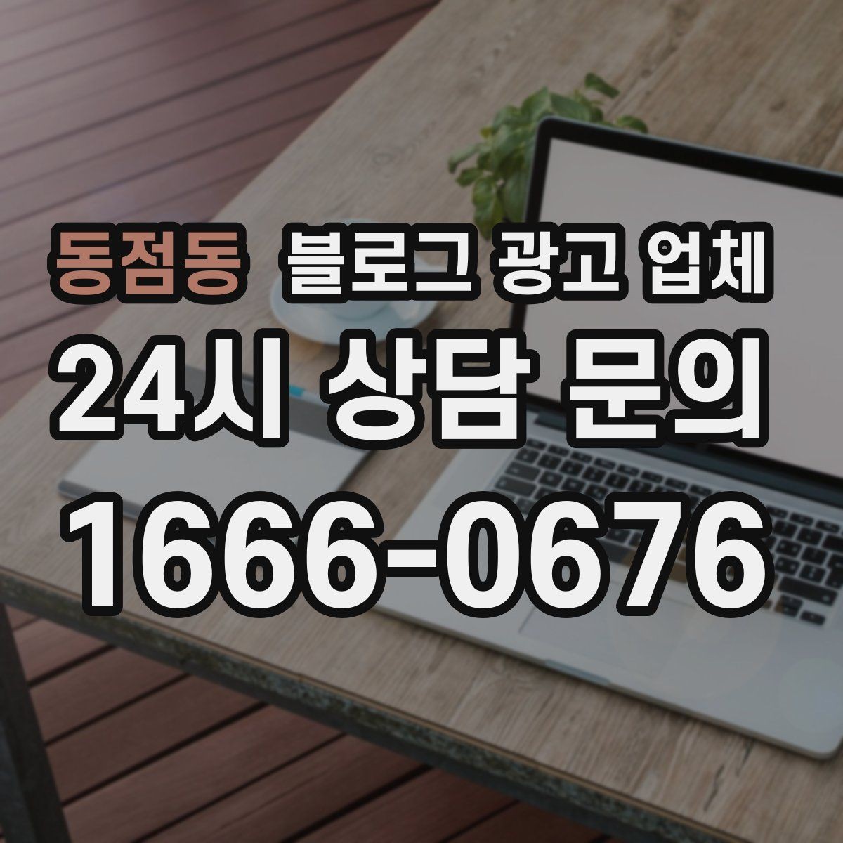 동점동 블로그 광고 업체 운영 사례로 보는 선택 포인트