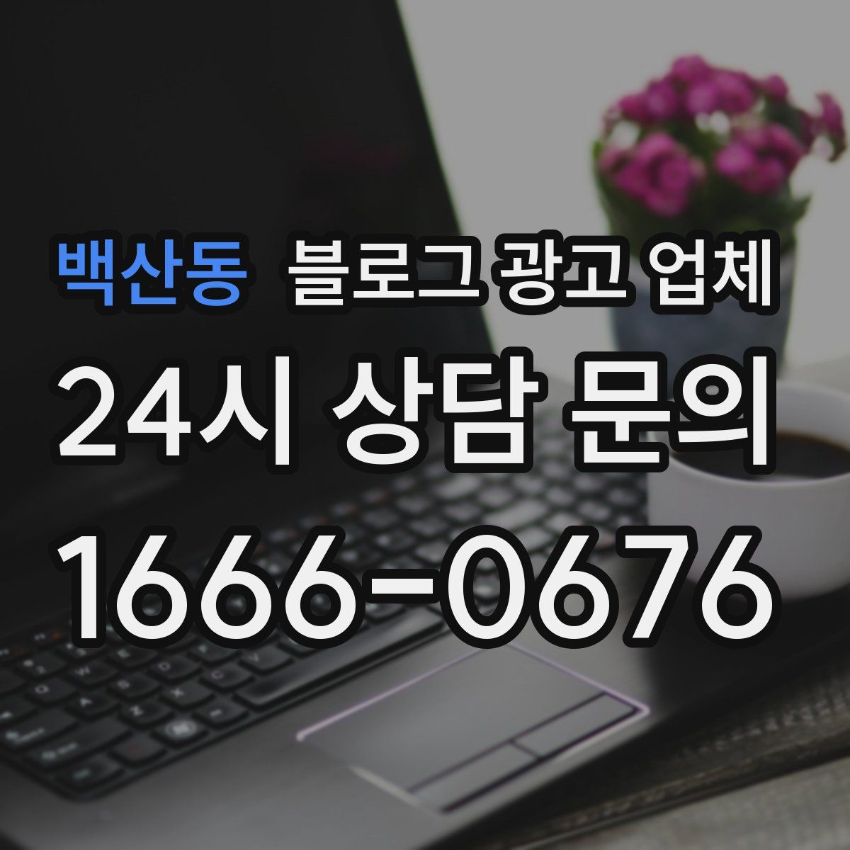 백산동 블로그 광고 업체