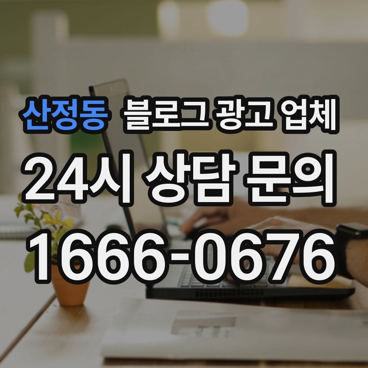 산정동 블로그 광고 업체 계약 전에 비교해야 할 항목