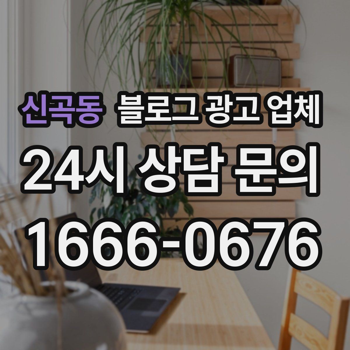 신곡동 블로그 광고 업체 포트폴리오에서 확인할 내용