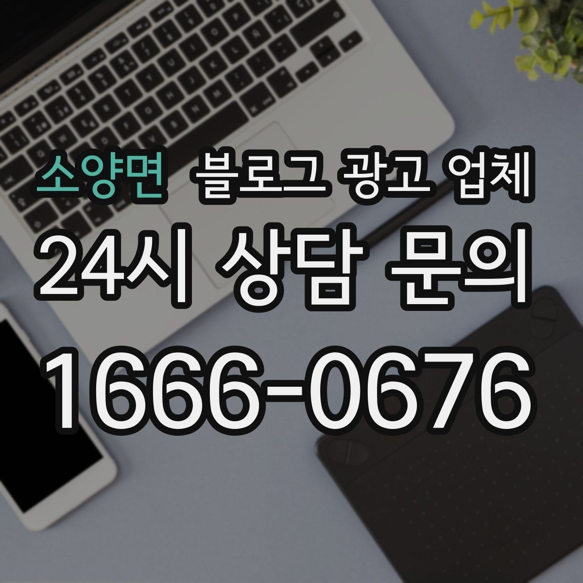 소양면 블로그 광고 업체 비용부터 결과까지 한 번에 살펴보기