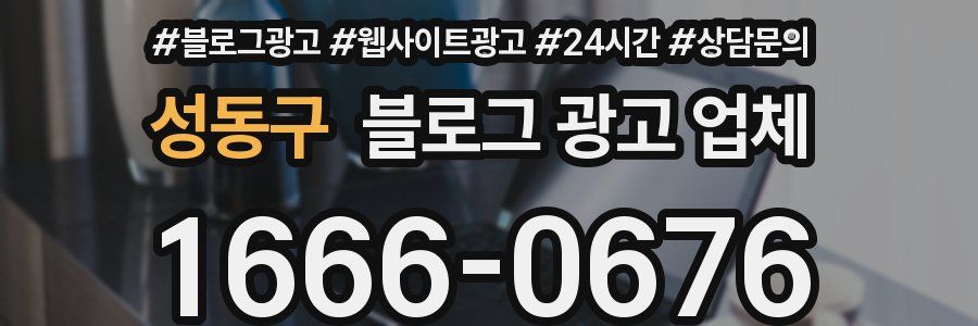 성동구 블로그 광고 업체