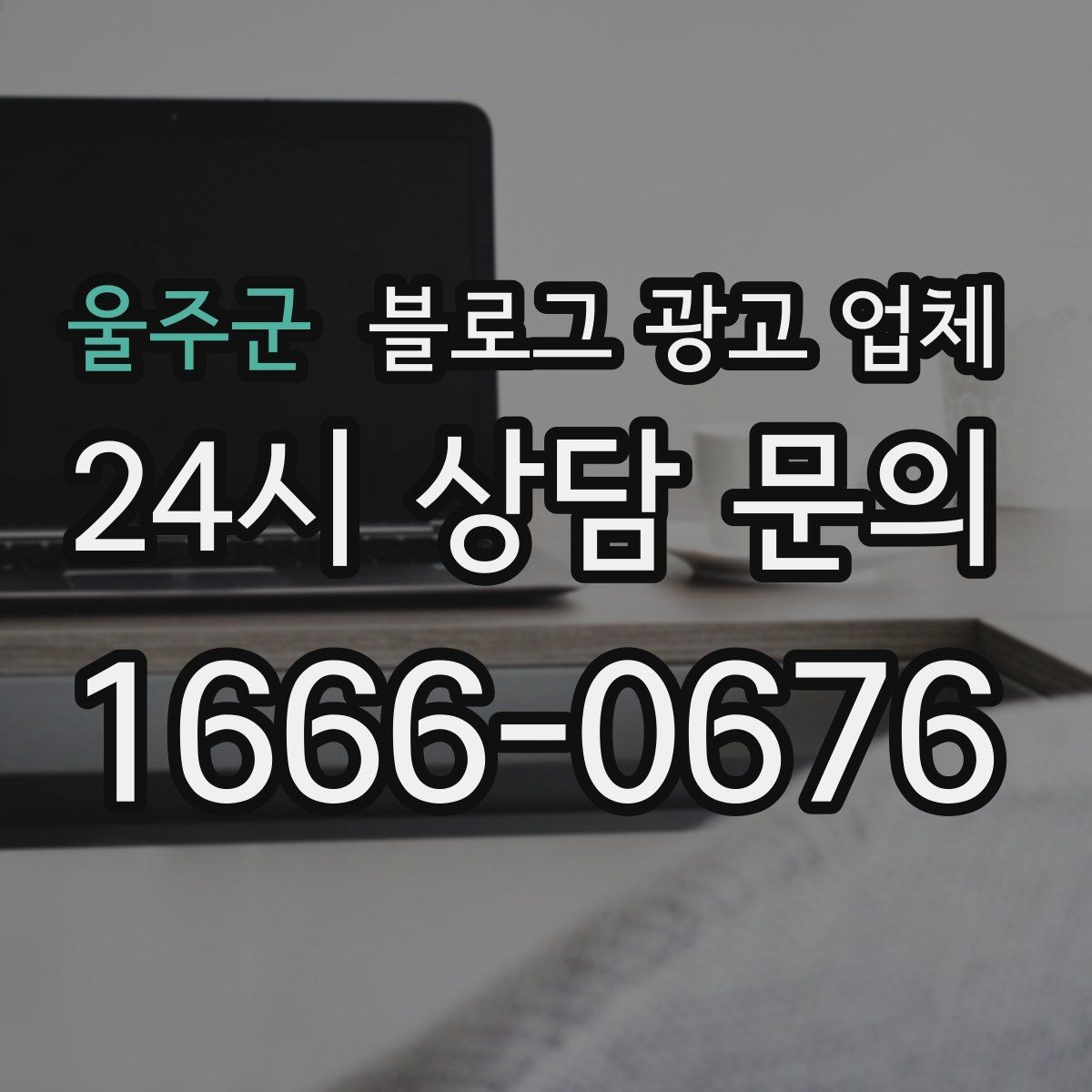 울주군 블로그 광고 업체 비교 시 포트폴리오 보는 법