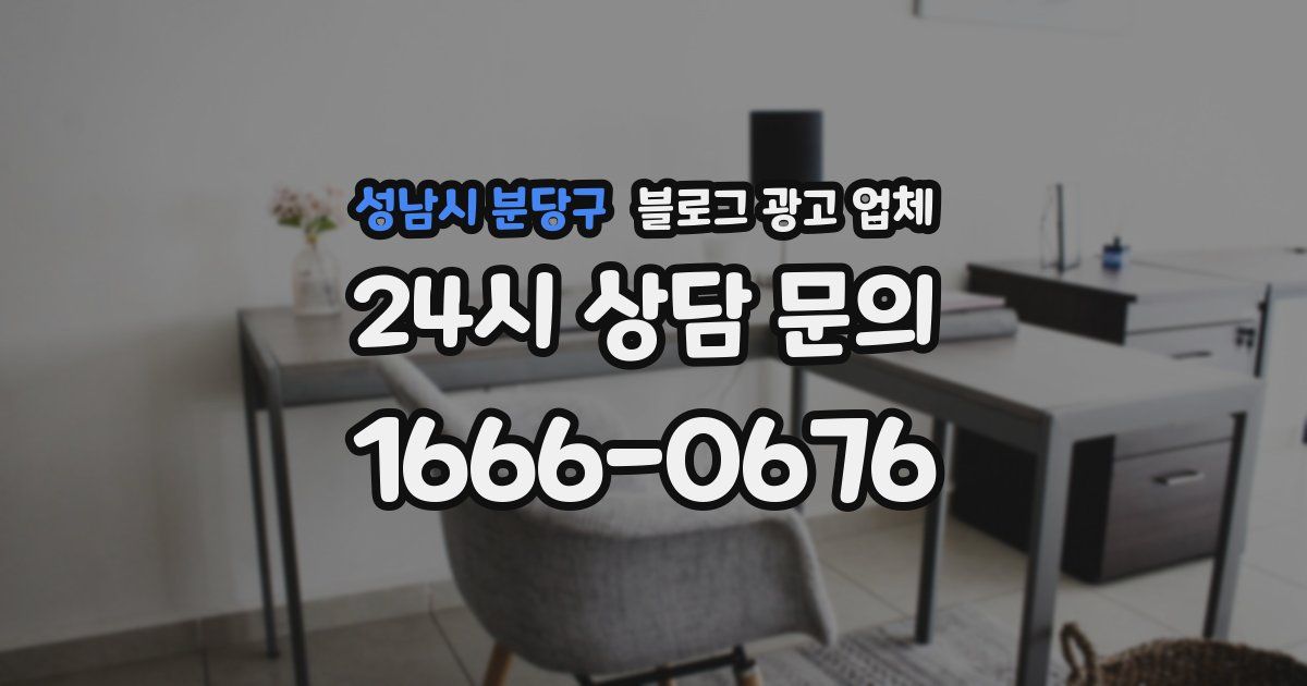 성남시 분당구 블로그 광고 업체