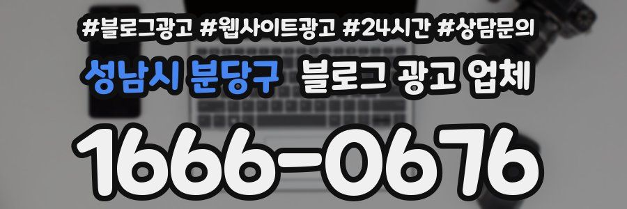 성남시 분당구 블로그 광고 업체