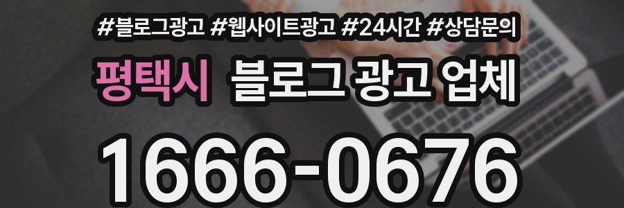 평택시 블로그 광고 업체
