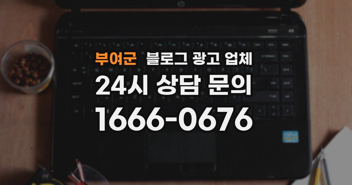 부여군 블로그 광고 업체