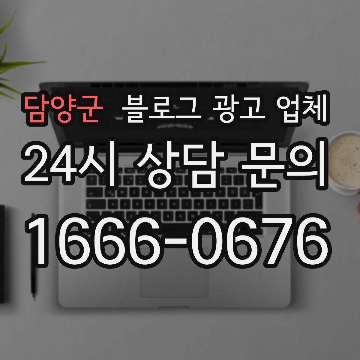 담양군 블로그 광고 업체 비교 시 포트폴리오 보는 법