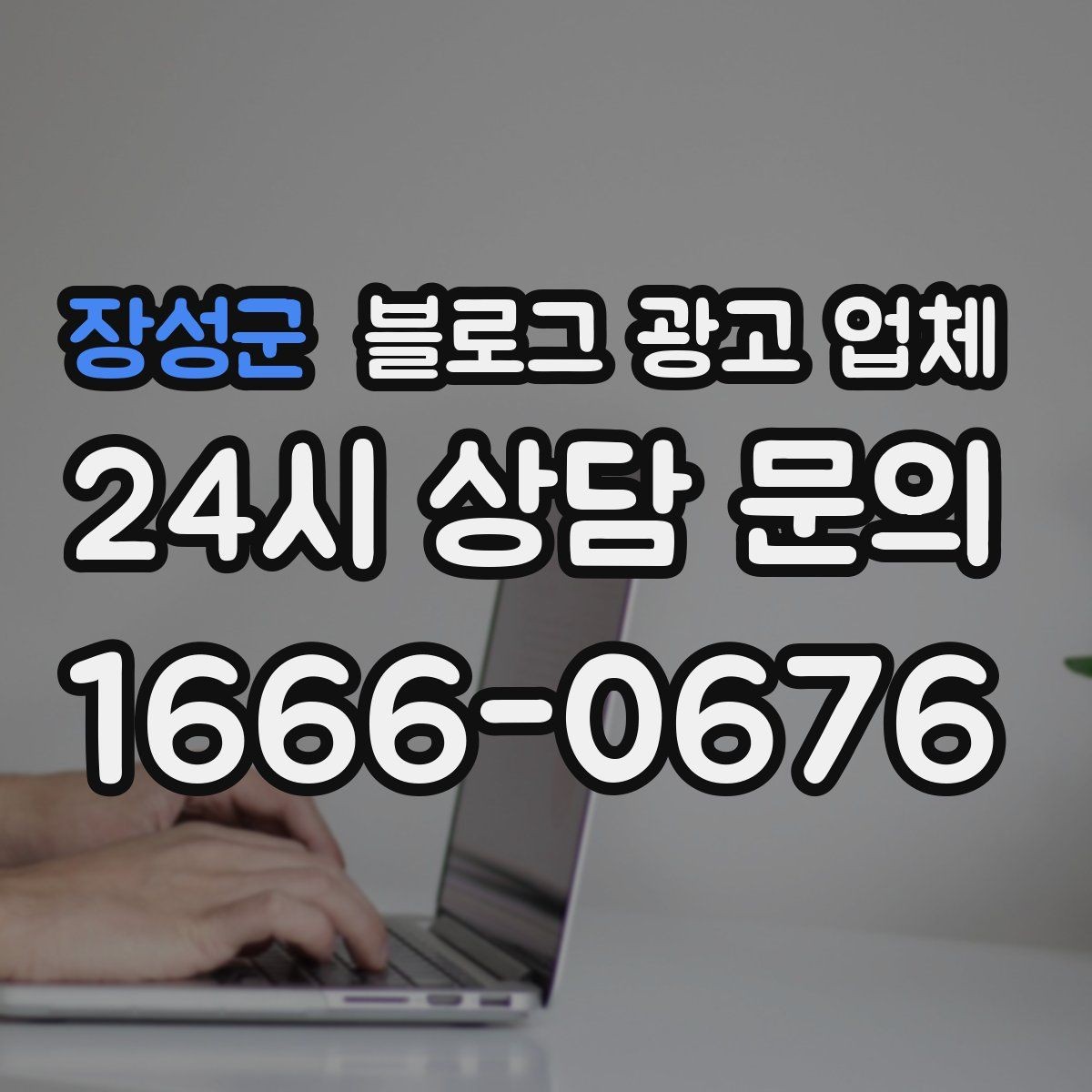 장성군 블로그 광고 업체 진행 사례로 보는 선택 팁