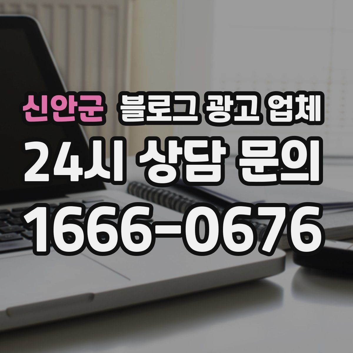 신안군 블로그 광고 업체 사례 분석으로 보는 선택 기준