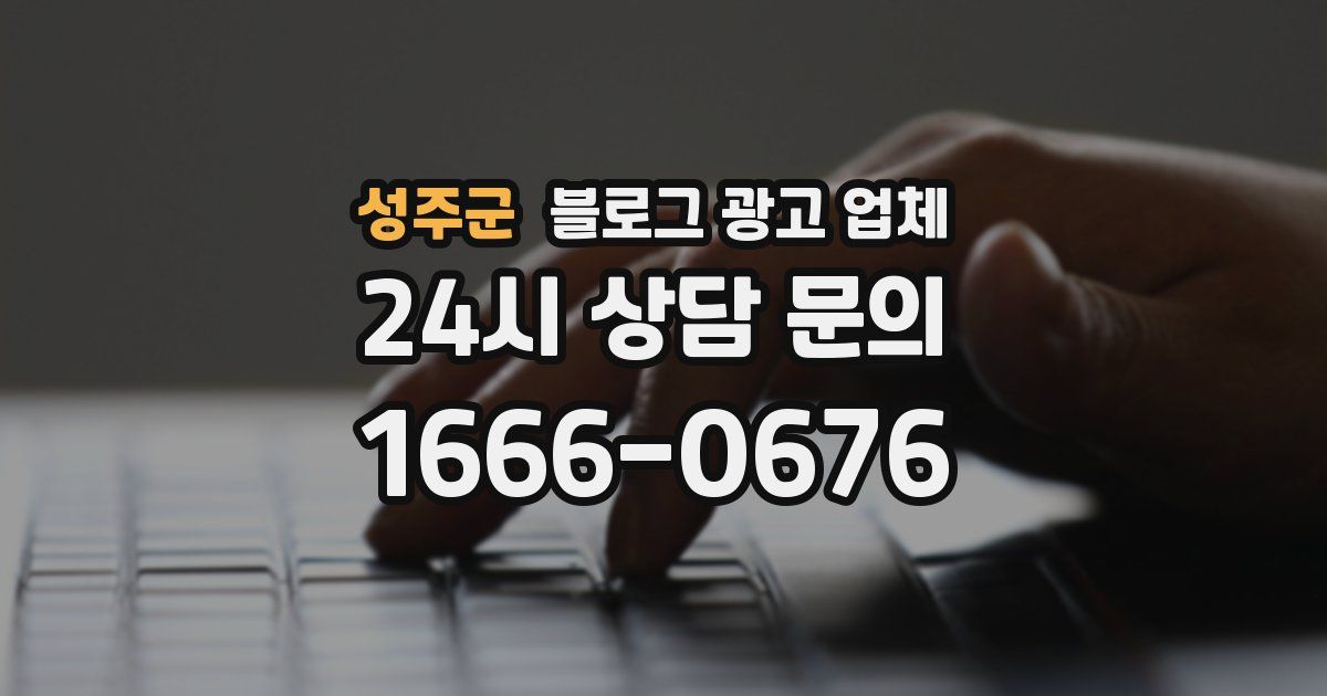 성주군 블로그 광고 업체