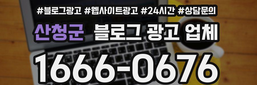 산청군 블로그 광고 업체