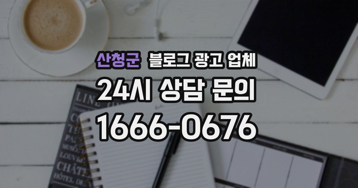 산청군 블로그 광고 업체