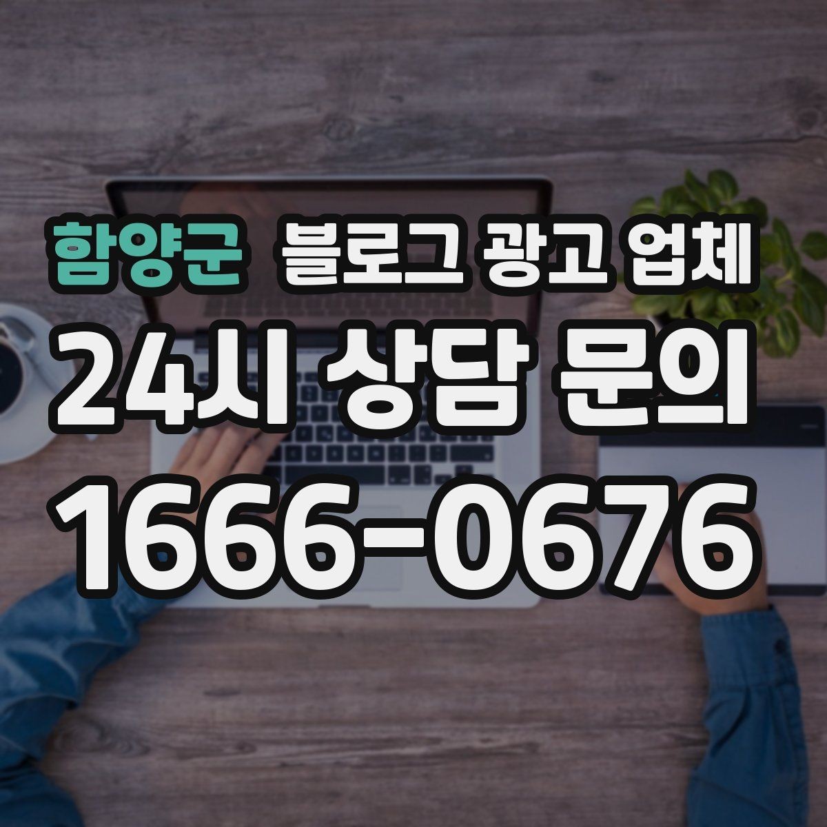 함양군 블로그 광고 업체 선택에 참고할 운영 경험