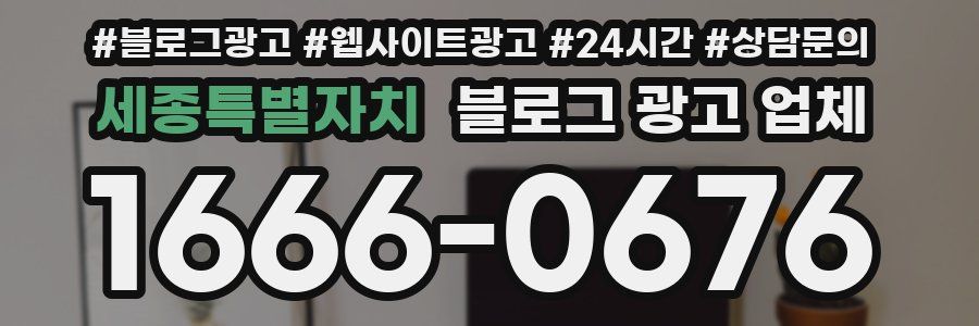 세종특별자치 블로그 광고 업체