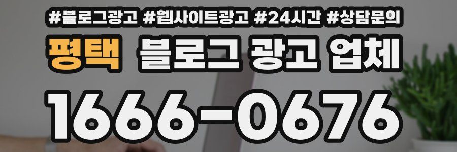 평택 블로그 광고 업체