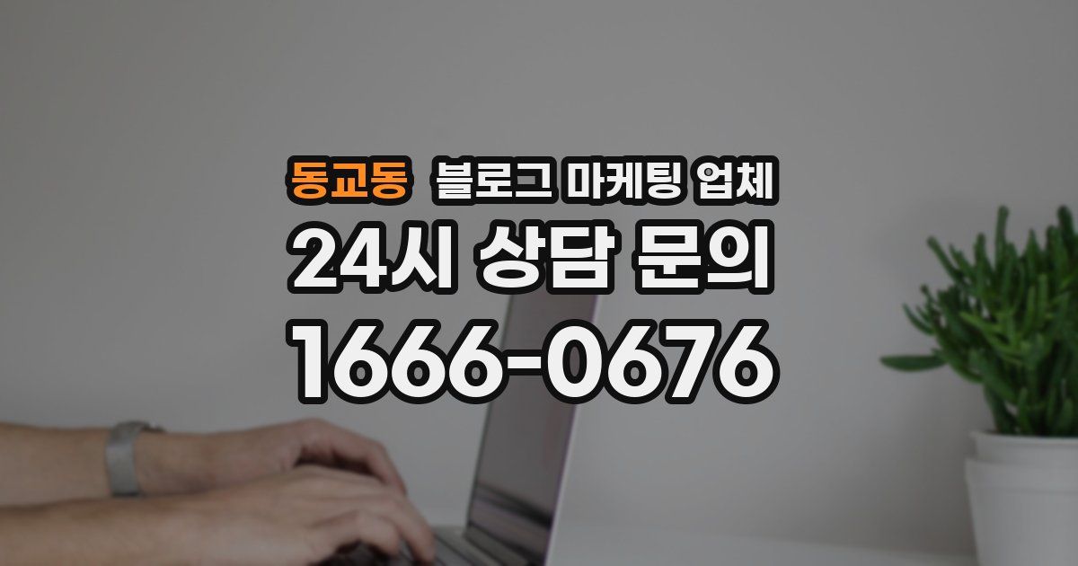 동교동 블로그 마케팅 업체