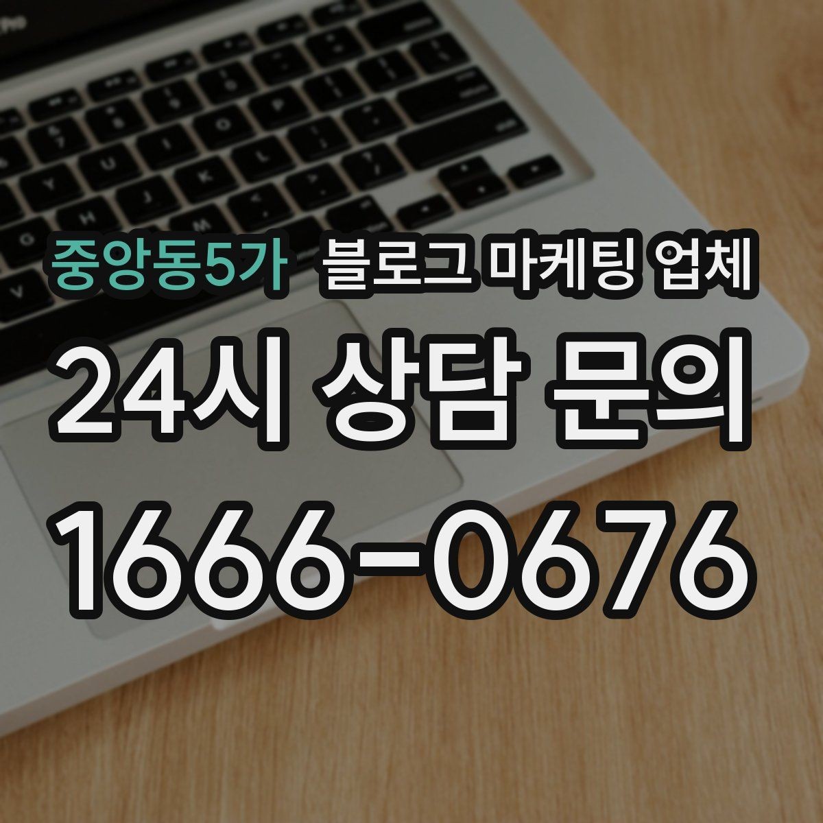 중앙동5가 블로그 마케팅 업체 포트폴리오에서 확인할 내용