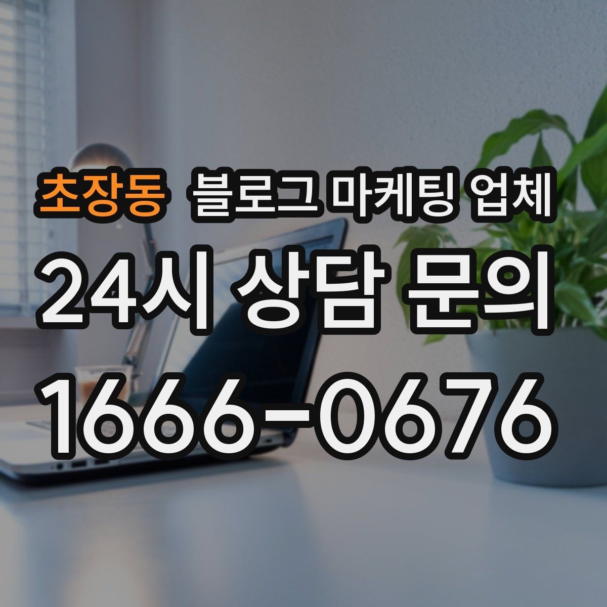 초장동 블로그 마케팅 업체 진행 사례로 보는 선택 포인트