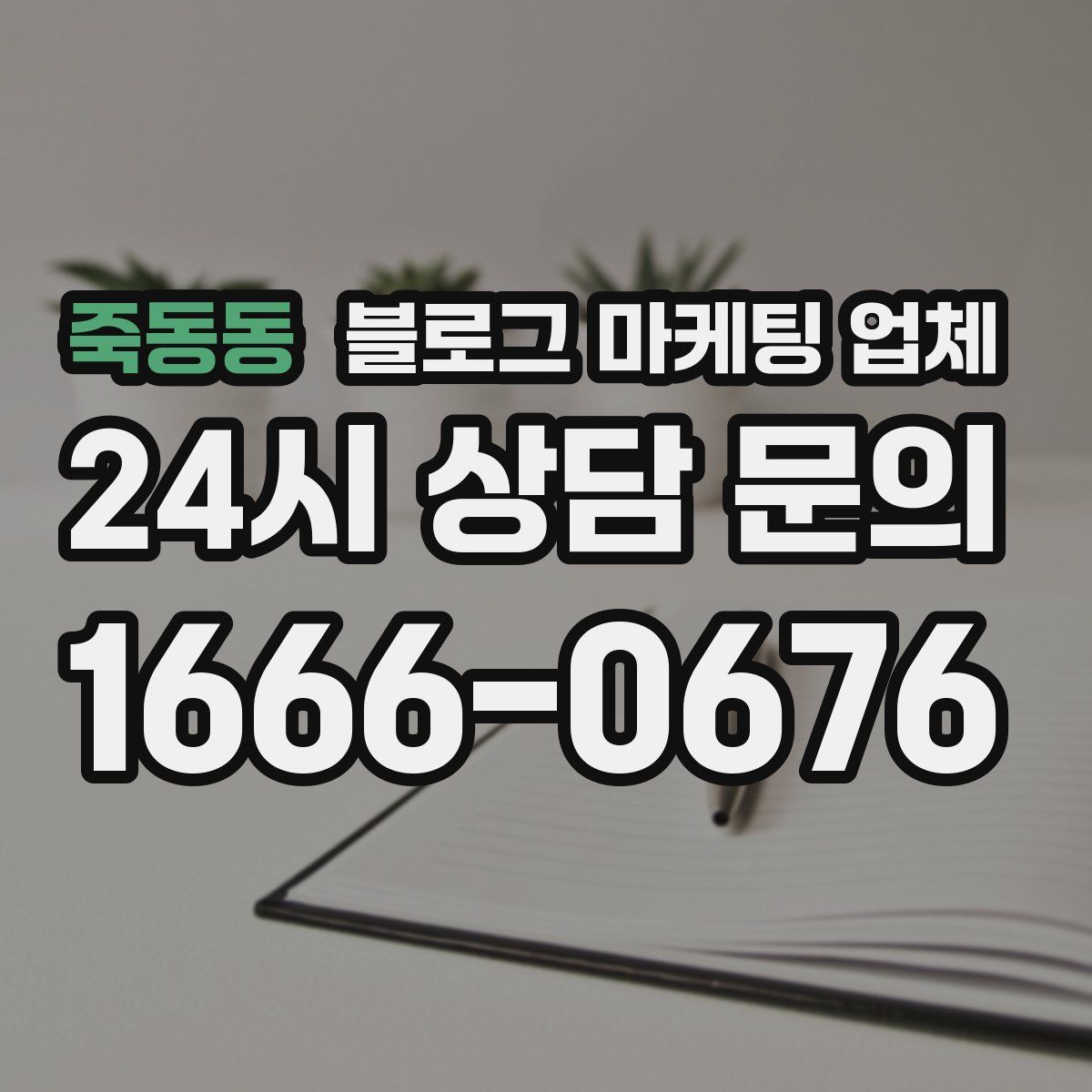 죽동동 블로그 마케팅 업체
