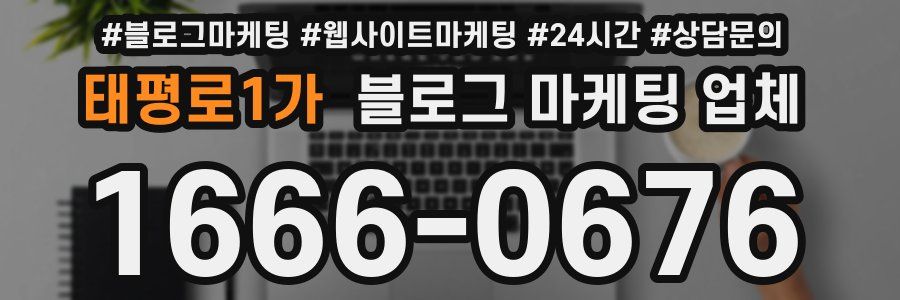태평로1가 블로그 마케팅 업체