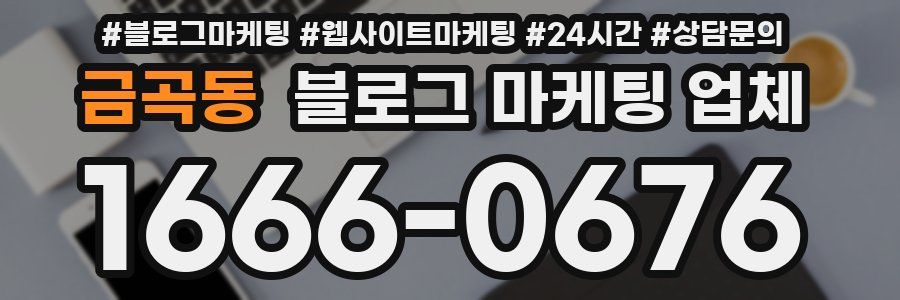 금곡동 블로그 마케팅 업체