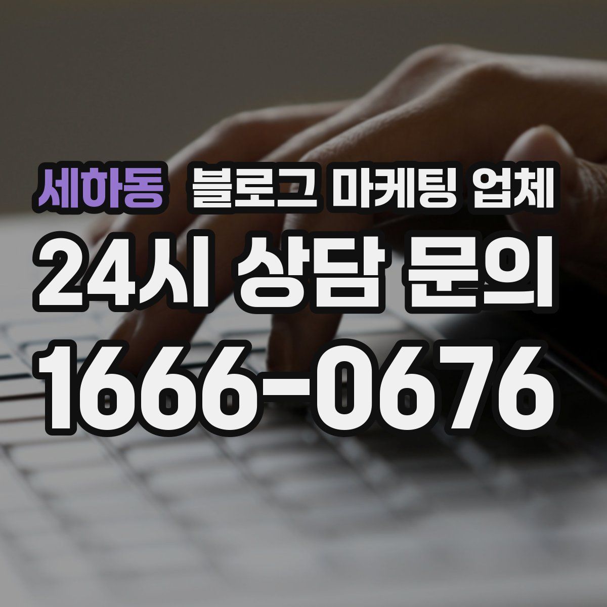 세하동 블로그 마케팅 업체