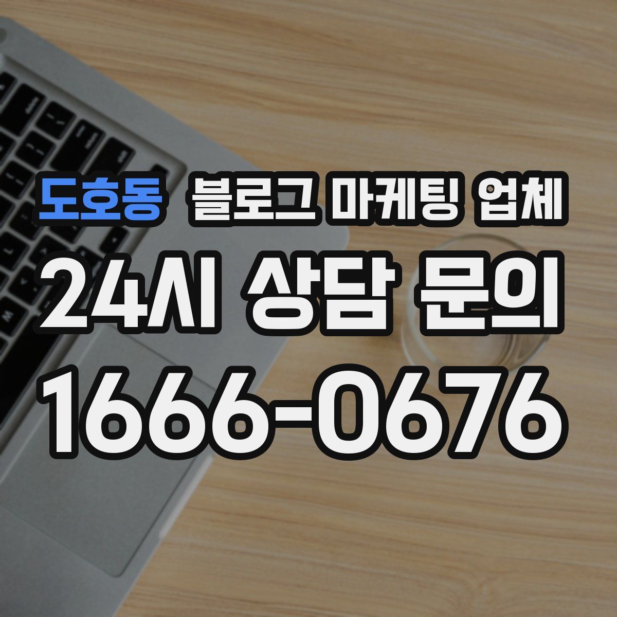 도호동 블로그 마케팅 업체
