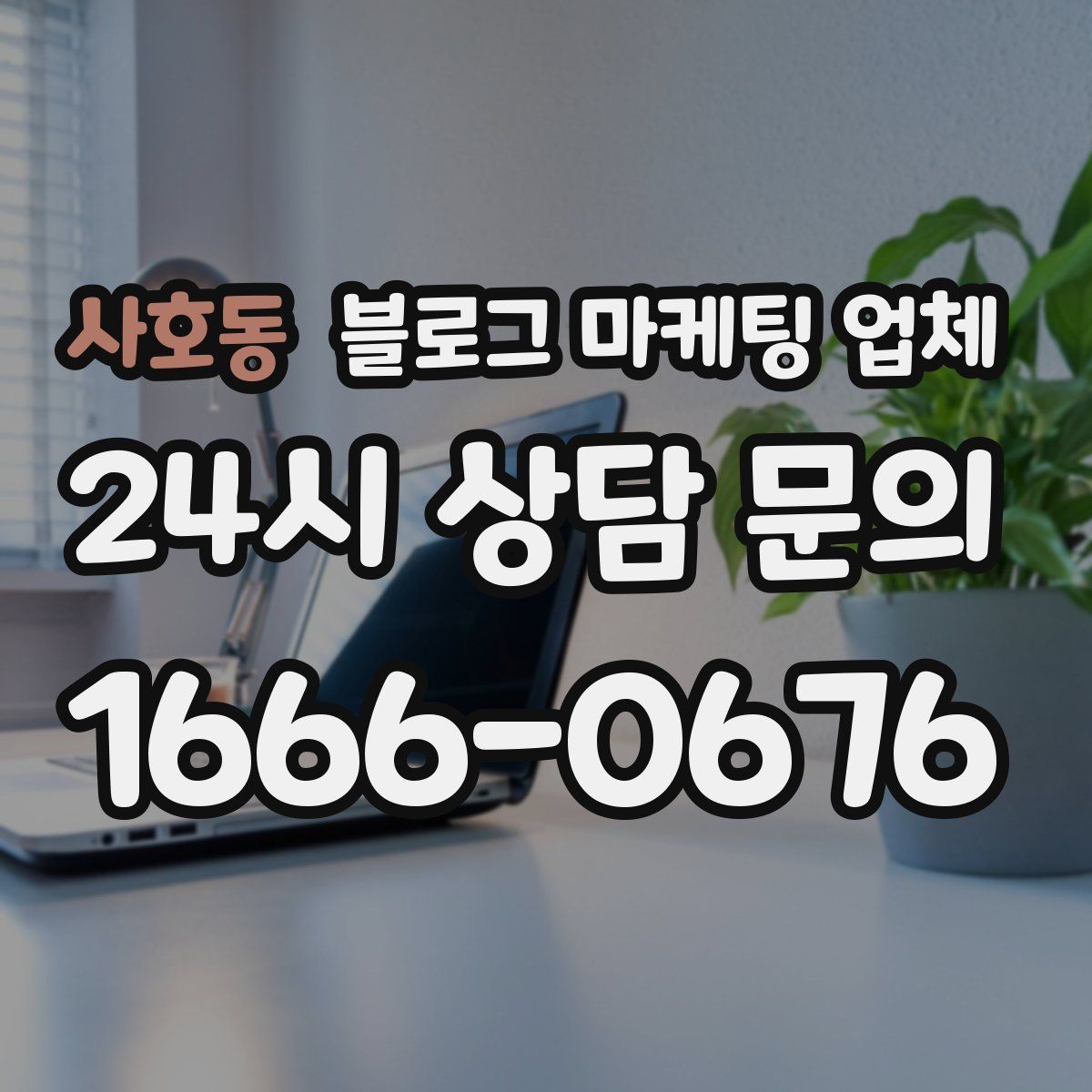 사호동 블로그 마케팅 업체