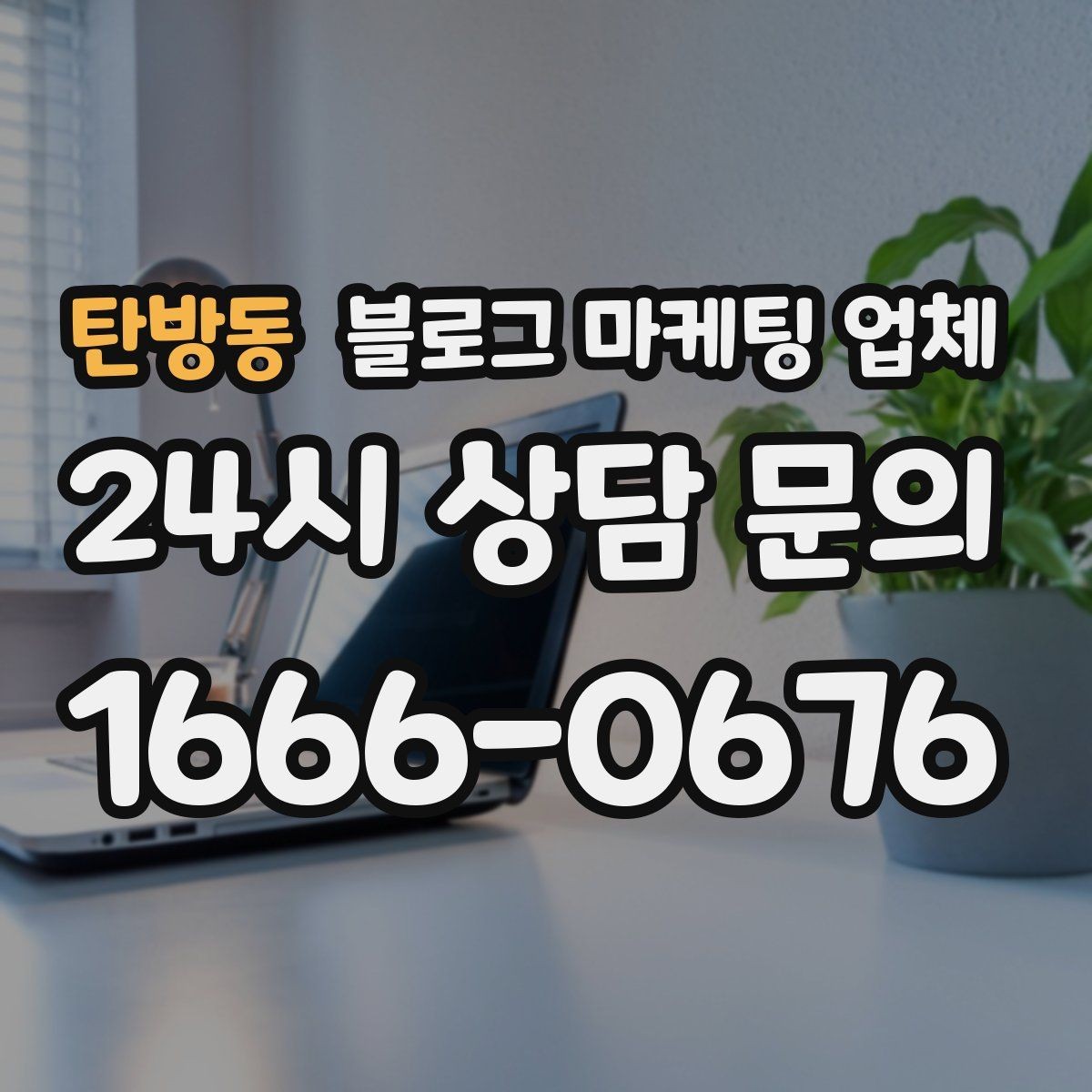 탄방동 블로그 마케팅 업체 사례를 볼 때 체크할 항목