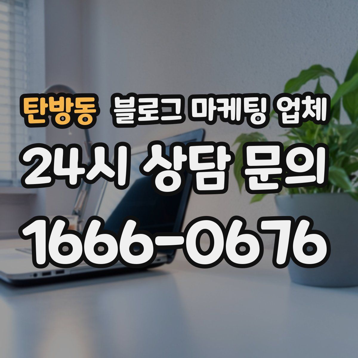 탄방동 블로그 마케팅 업체