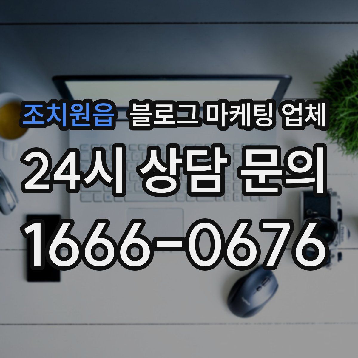 조치원읍 블로그 마케팅 업체